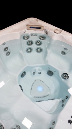 Гидромассажный спа бассейн Hydropool Self Cleaning 670 Platinum Гидромассажный спа бассейн Hydropool Self Cleaning 670 Platinum
